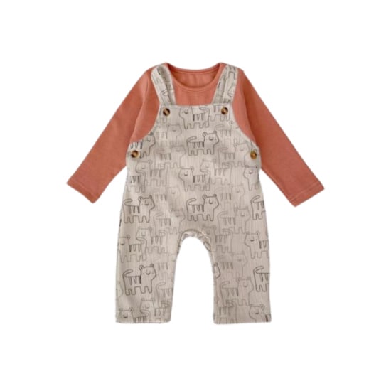 Orange overall